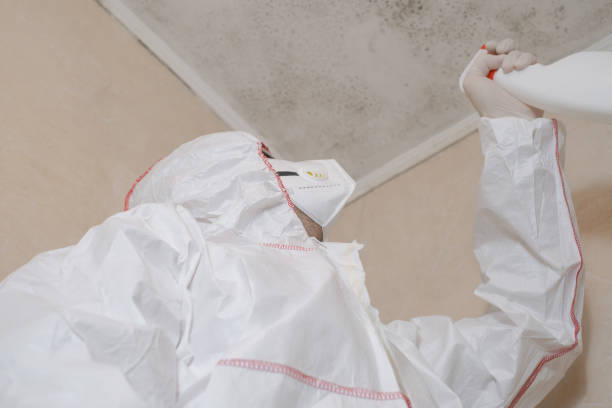 Certified Mold Removal in Fairfax, OH